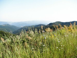 Rovensko  - okolní kopce